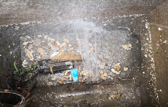 1766538814504117_1658546990530973.jpg 1658546990530973.jpg