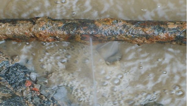 1766539209641603_1658555816560464.jpg 1658555816560464.jpg