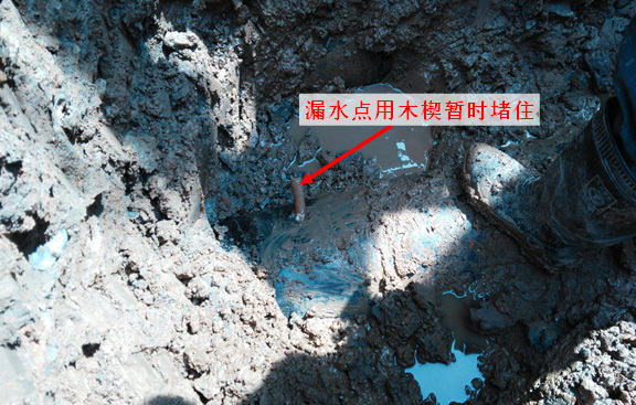 1658800833747942.jpg 4fc55b4a-5cb6-49f7-b71f-ccd295882c5f.jpg